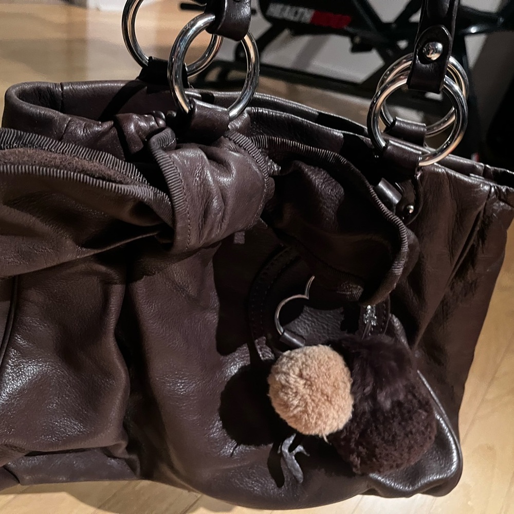 Vintage juicy bag